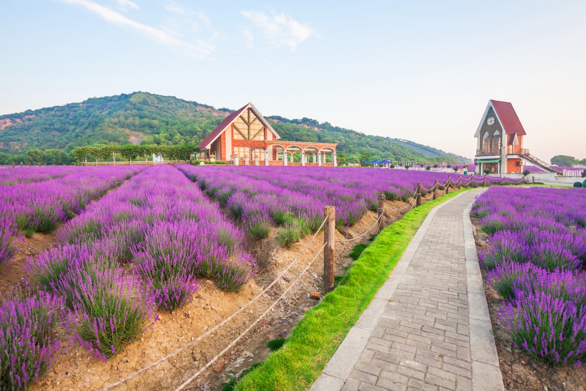 Saints Flower Village